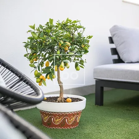 La Rambla Sky Penthouse - Rooftop Bbq Pool Near - By Oyoostays Apartment